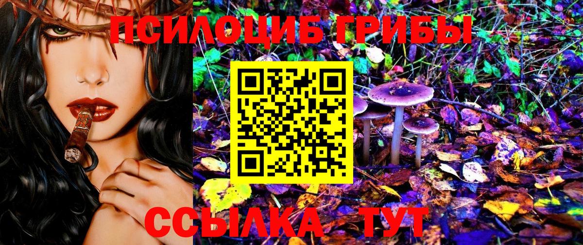 Галлюциногенные грибы Psilocybe  где найти наркотики  Тольятти  Вход с VPN 
